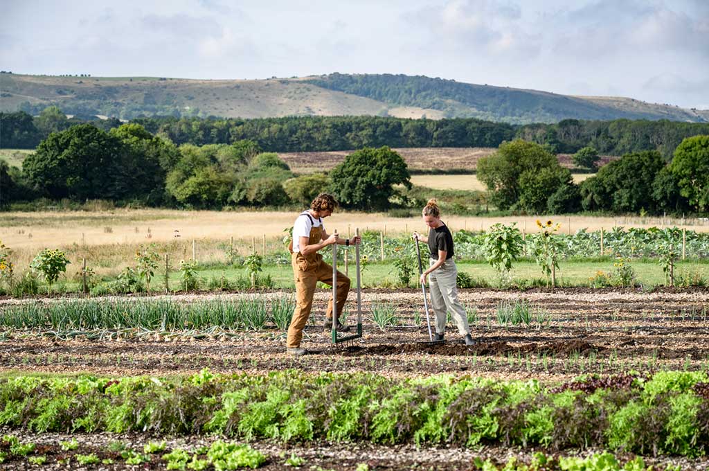 Dos agricultores preparan el suelo de su pequeño cultivo.