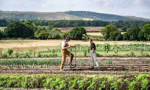 Farmland